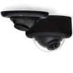 AV3146DN-3310-D