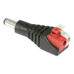 SECO-LARM - CA-161P - 2.1mm DC Plug-to-Terminal Block (Screwless)