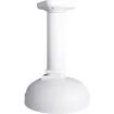 Ganz - CMB-8000 - Ceiling mount for ZN1A-2D6DTMZ71 and ZN1A-4D6DTMZ67