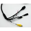 Dahua - DH-IPC-EBW81242N - 12MP IR 360° Panoramic IP Fisheye with Analytics+