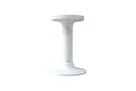ExacqVision - IBPN-TIS-WB - Illustra Pro Thermal EST Ceiling Pendant Mount