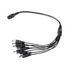 Avycon - AVA-PIGTAIL-1IN8OUT - DC Male Pigtail with 1 in / 8 Out