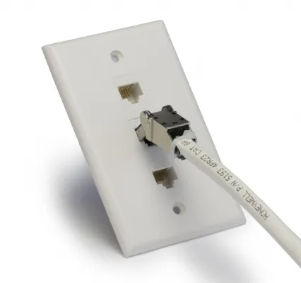 Platinum Tools - 106220 - Cat6A Flex Connector. 1/Bag.