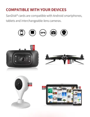 Vivotek - SDSDQAS5-1TB - Sandisk Industrial micro SD 1TB