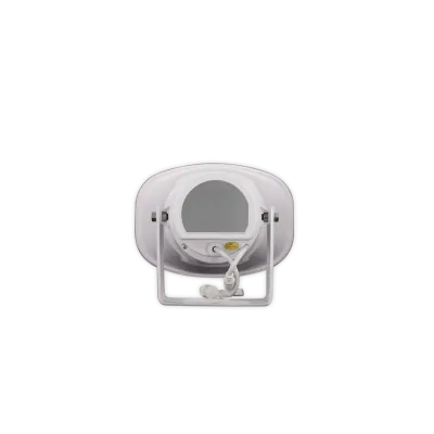 Digital Watchdog - DW-SWSP30AM - 30-Watt IP-enabled Horn Speaker