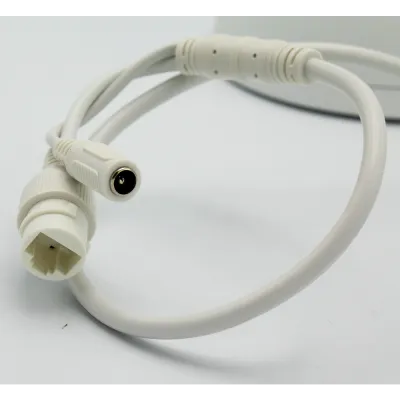 Dahua - 22404DBNR - 4MP Enhanced Starlight Network PTZ Camera (4x)
