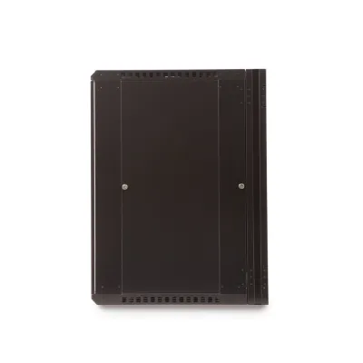 Kendall Howard - 3131-3-001-18 - 18U LINIER® Swing-Out Wall Mount Cabinet - Solid Door
