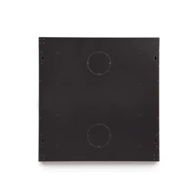 Kendall Howard - 3132-3-001-12 - 12U LINIER® Swing-Out Wall Mount Cabinet - Vented Door