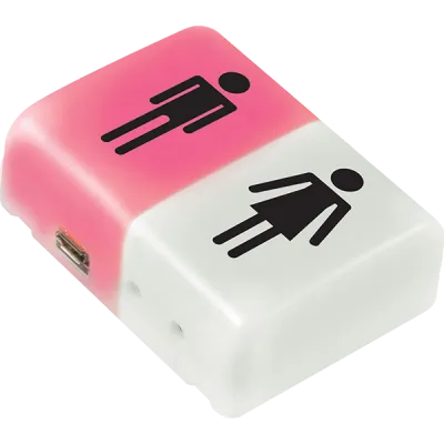 SECO-LARM - RM-R100-R2Q - 2-Room Indicator - Dual Channel LED Receiver, Powered by 12VDC or USB.