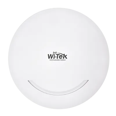 WI-AP216